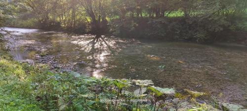 IMG20220905172123