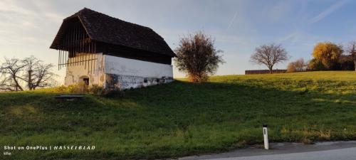 IMG20241110152021