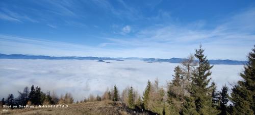IMG20241112105245