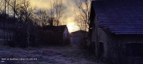 IMG20241206073413
