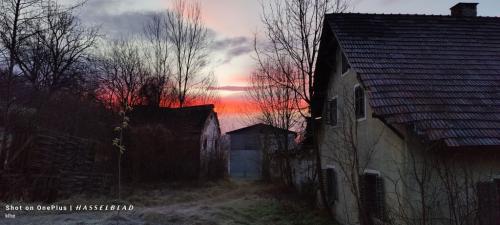 IMG20241218072758