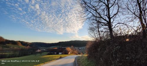 IMG20241228153508