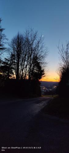 IMG20250103165237