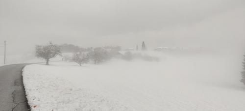 IMG 20211128 141225