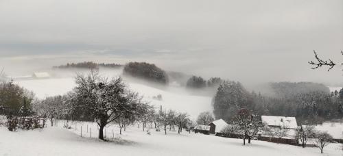 IMG 20211128 142146-1