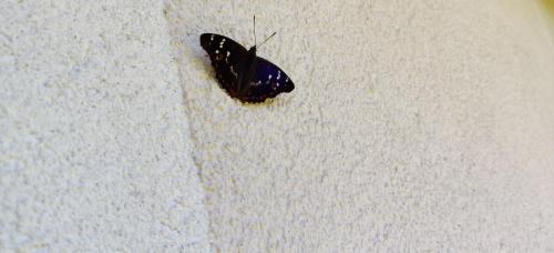 IMG 20220626 122401